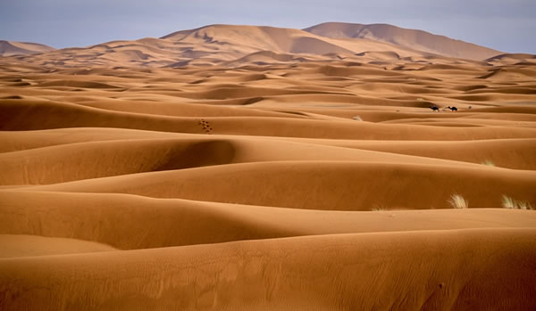 Sahara Desert dunes